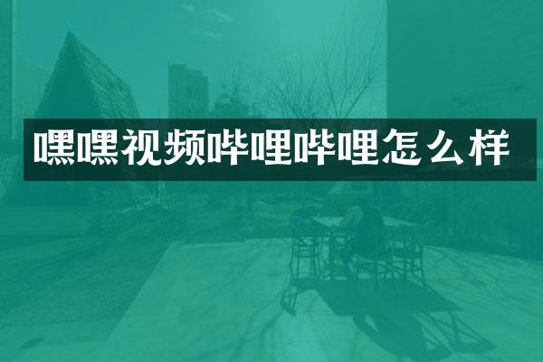 嘿嘿视频哔哩哔哩怎么样