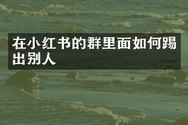 在小红书的群里面如何踢出别人