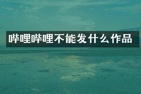 哔哩哔哩不能发什么作品