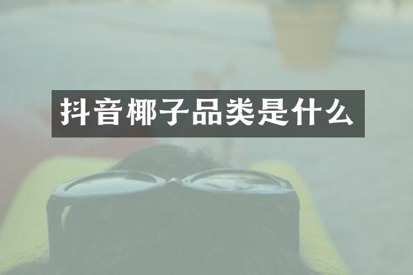 抖音椰子品类是什么