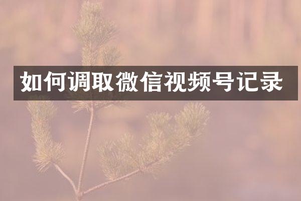 如何调取微信视频号记录