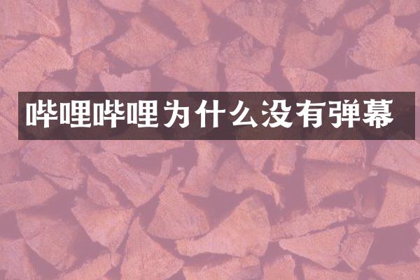哔哩哔哩为什么没有弹幕
