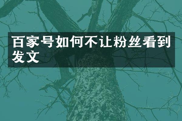 百家号如何不让粉丝看到发文