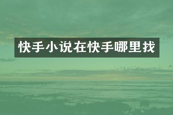 快手小说在快手哪里找