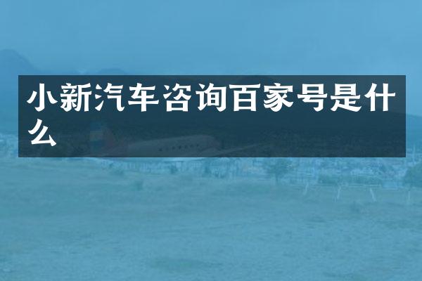 小新汽车咨询百家号是什么