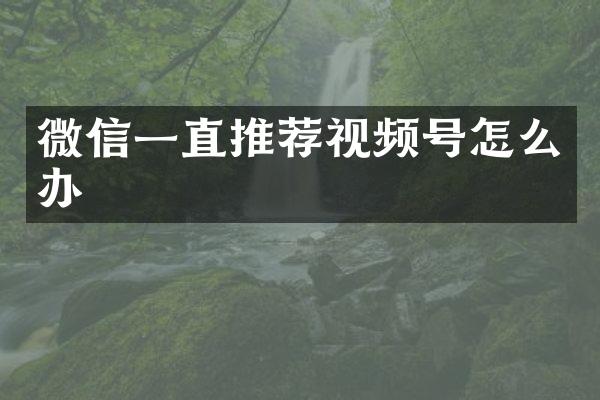 微信一直推荐视频号怎么办