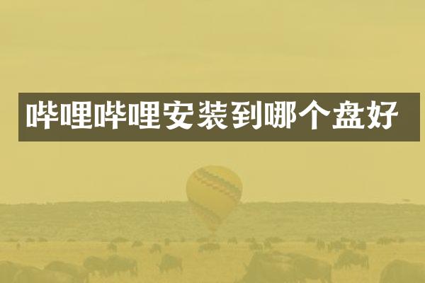 哔哩哔哩安装到哪个盘好