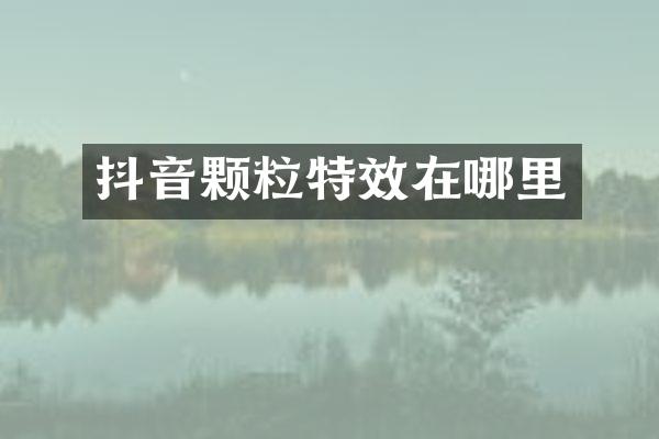 抖音颗粒特效在哪里
