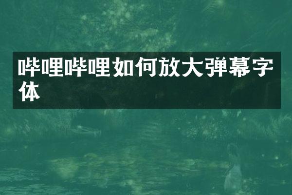 哔哩哔哩如何放大弹幕字体