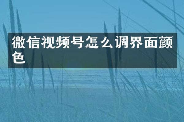 微信视频号怎么调界面颜色