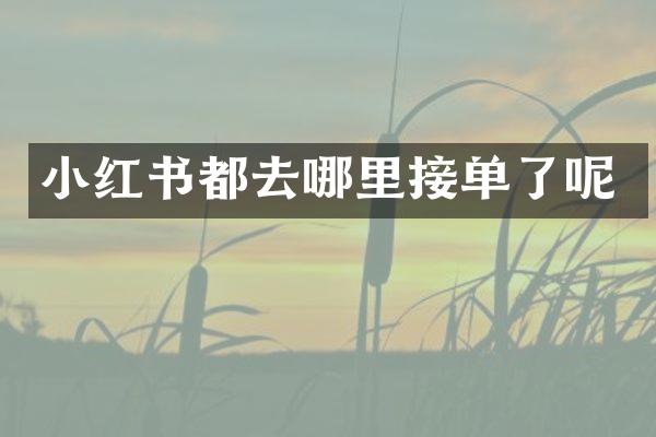 小红书都去哪里接单了呢