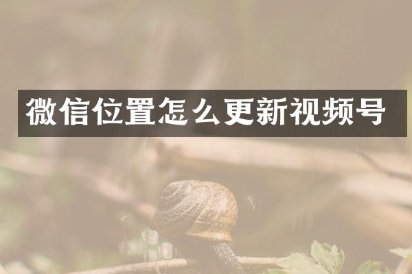 微信位置怎么更新视频号