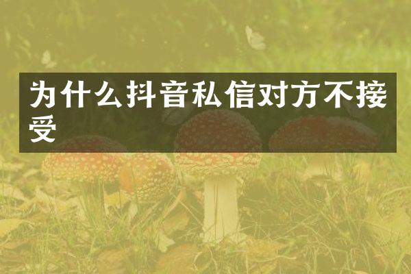 为什么抖音私信对方不接受
