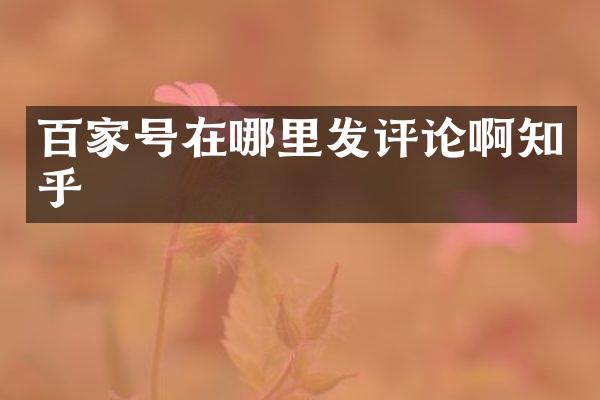 百家号在哪里发评论啊知乎