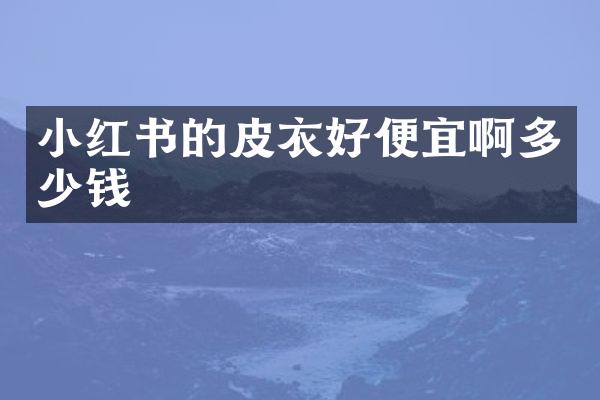 小红书的皮衣好便宜啊多少钱