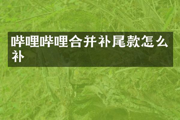 哔哩哔哩合并补尾款怎么补