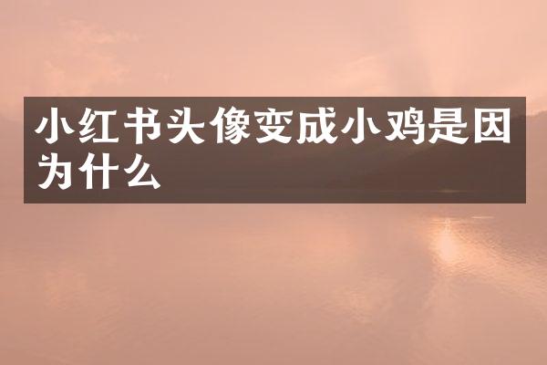 小红书头像变成小鸡是因为什么