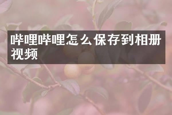 哔哩哔哩怎么保存到相册视频