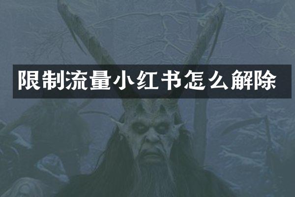 限制流量小红书怎么解除
