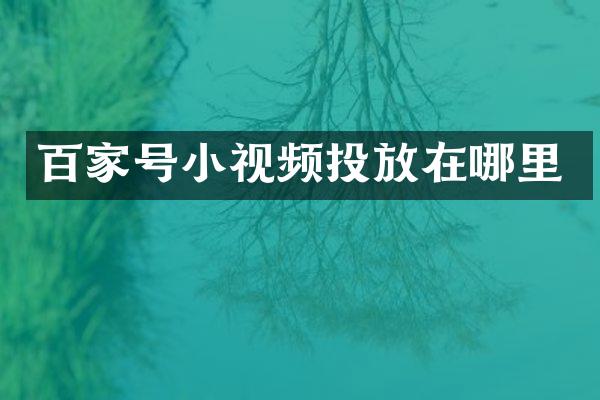 百家号小视频投放在哪里