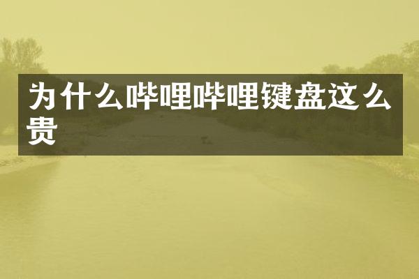 为什么哔哩哔哩键盘这么贵