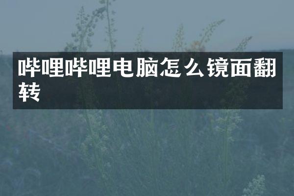 哔哩哔哩电脑怎么镜面翻转