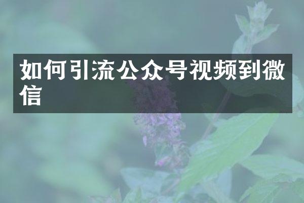 如何引流公众号视频到微信