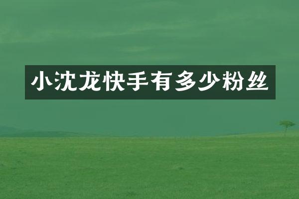 小沈龙快手有多少粉丝
