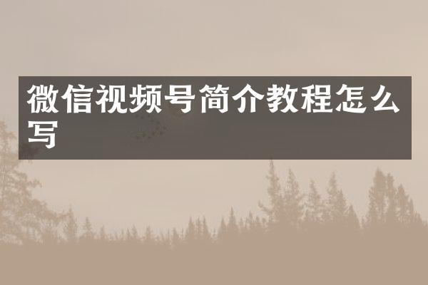 微信视频号简介教程怎么写
