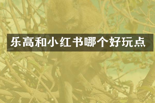 乐高和小红书哪个好玩点