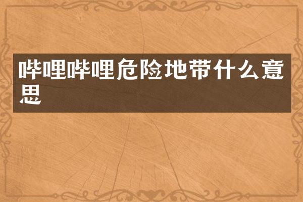 哔哩哔哩危险地带什么意思