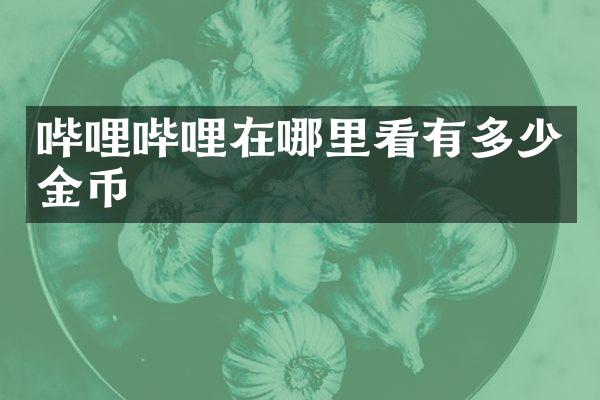 哔哩哔哩在哪里看有多少金币