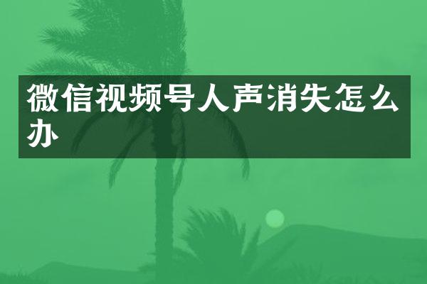 微信视频号人声消失怎么办