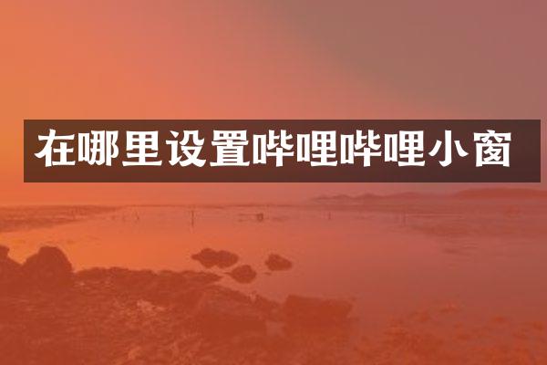 在哪里设置哔哩哔哩小窗