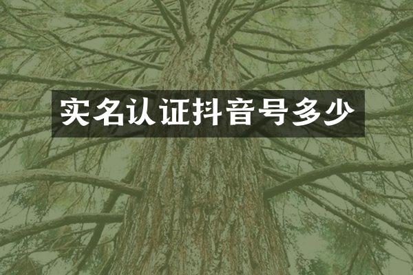 实名认证抖音号多少