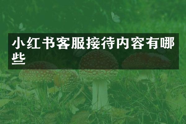 小红书客服接待内容有哪些