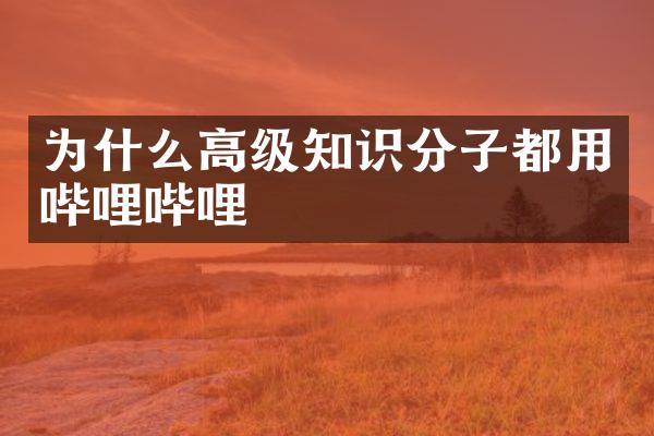 为什么高级知识分子都用哔哩哔哩