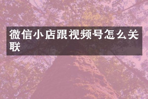 微信小店跟视频号怎么关联