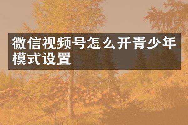 微信视频号怎么开青少年模式设置