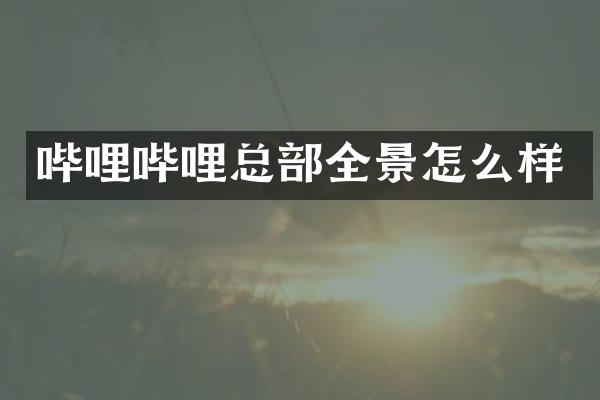 哔哩哔哩总部全景怎么样