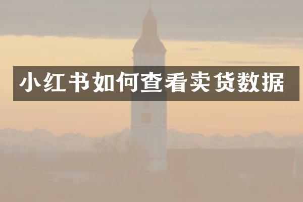 小红书如何查看卖货数据