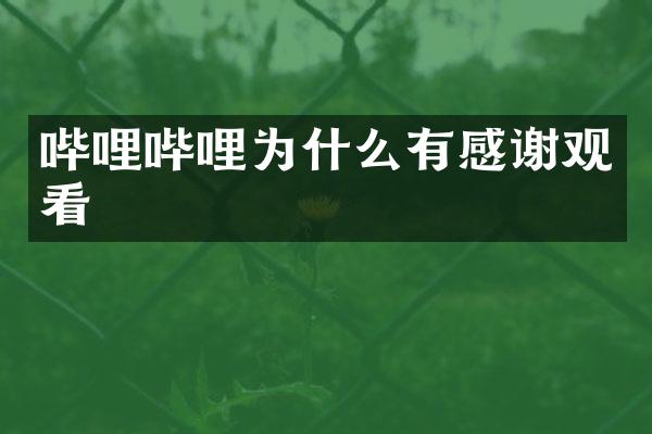 哔哩哔哩为什么有感谢观看