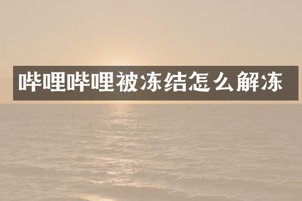 哔哩哔哩被冻结怎么解冻