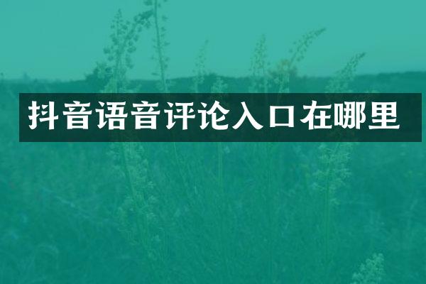 抖音语音评论入口在哪里