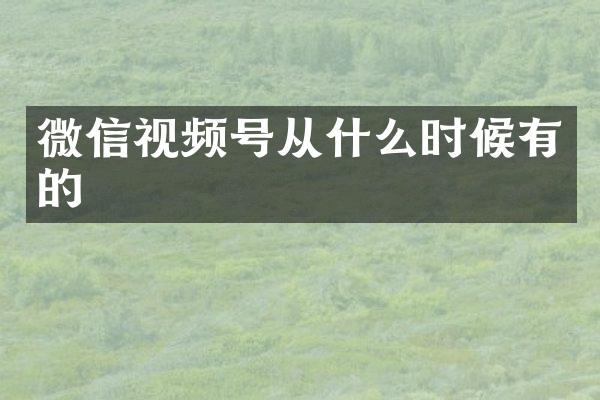 微信视频号从什么时候有的