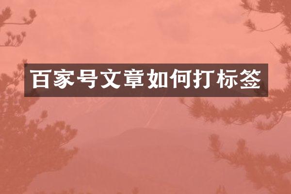 百家号文章如何打标签