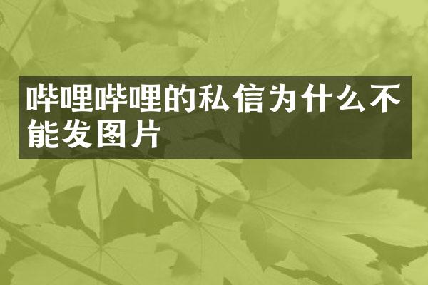 哔哩哔哩的私信为什么不能发图片