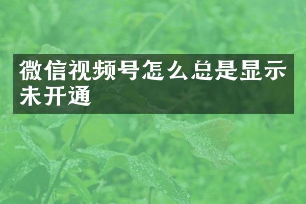 微信视频号怎么总是显示未开通