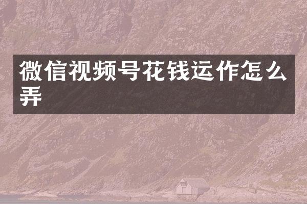 微信视频号花钱运作怎么弄