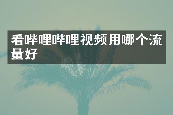 看哔哩哔哩视频用哪个流量好
